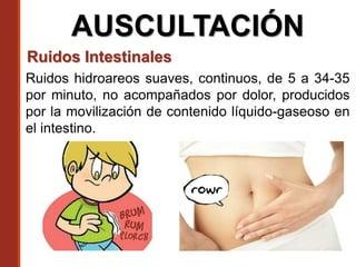 Causas Comunes⁢ de los ⁤Ruidos Abdominales y su Significado