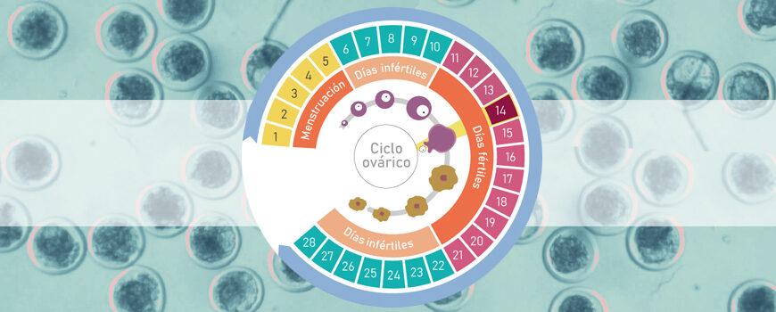 Causas Comunes de un Ciclo Menstrual Irregular