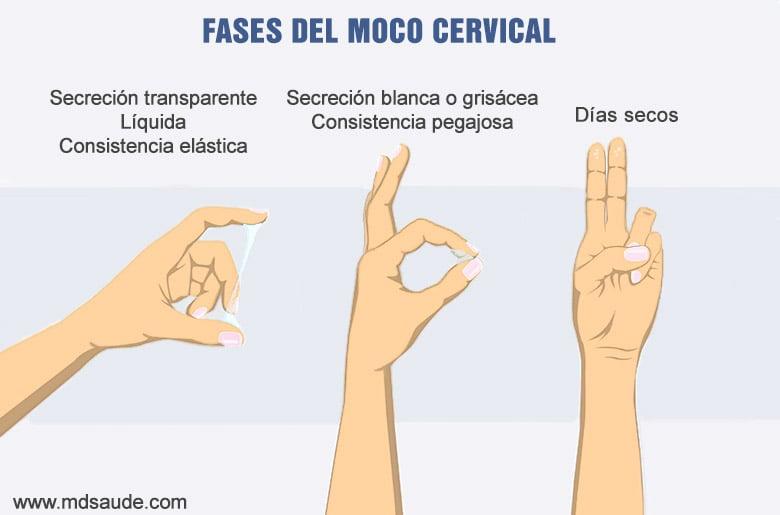 Cuándo preocuparse: señales de alerta en el flujo ‍vaginal