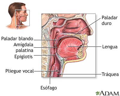 Causas comunes del dolor de garganta y sus implicaciones