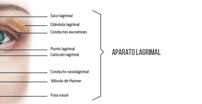 porque me brinca el párpado