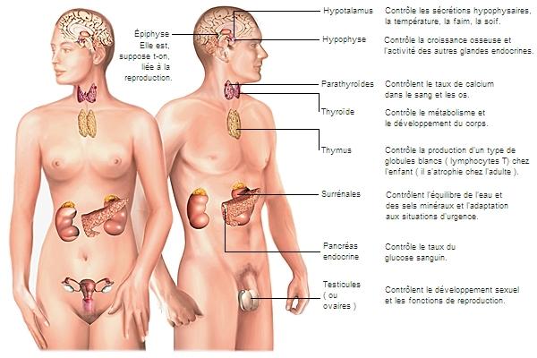 Causas Comunes del Dolor ‍en el Glande al Tocar