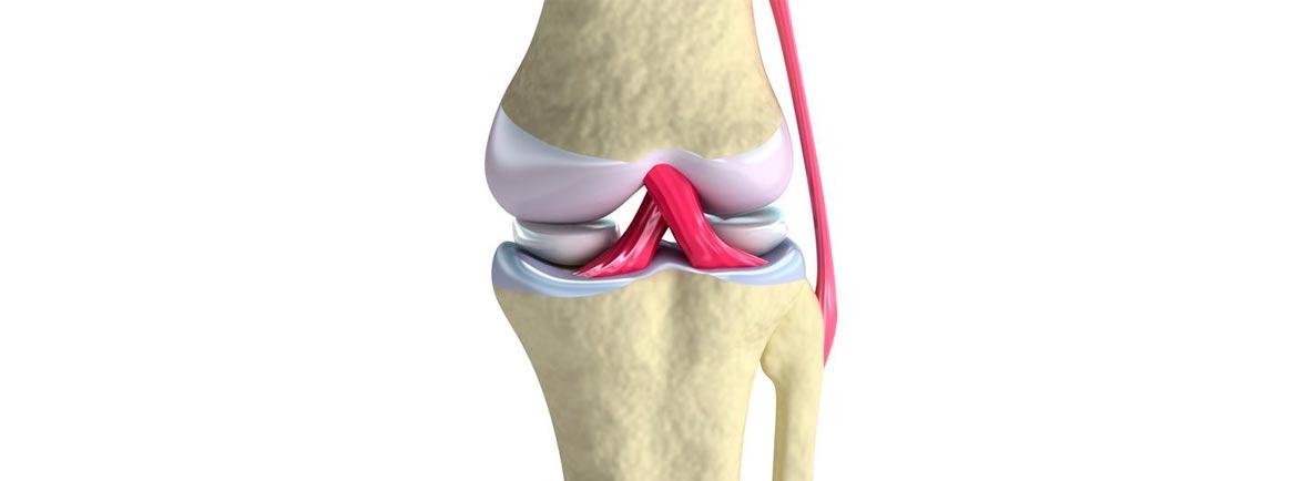 Impacto del Estrés ‌y ⁣la Tensión Muscular en la Articulación